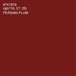 #741B19 - Persian Plum Color Image